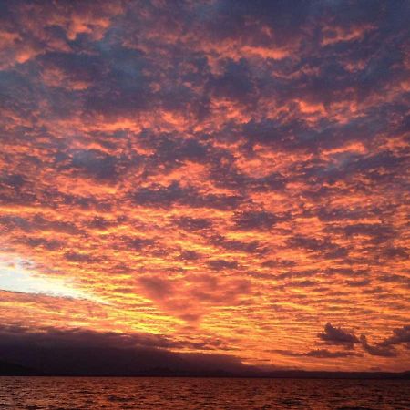 Cosy Studio Port Douglas Bagian luar foto
