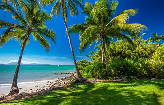 Cosy Studio Port Douglas Bagian luar foto