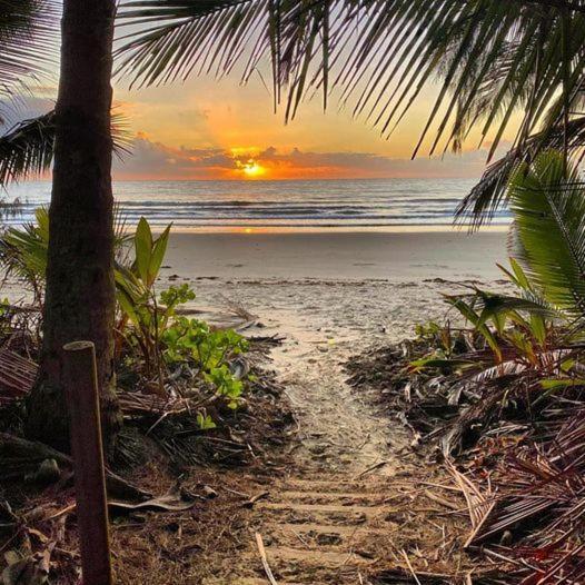 Cosy Studio Port Douglas Bagian luar foto